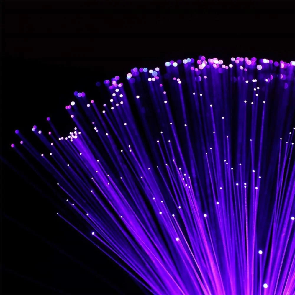 LED Fiber Optic Lamp - zoomed picture-Epiceasyshop1