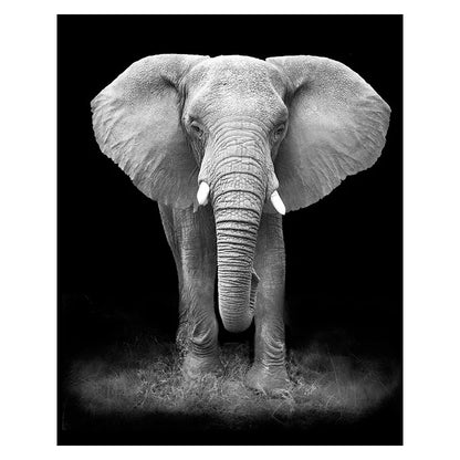 Canvas Painting Animal Wall Art